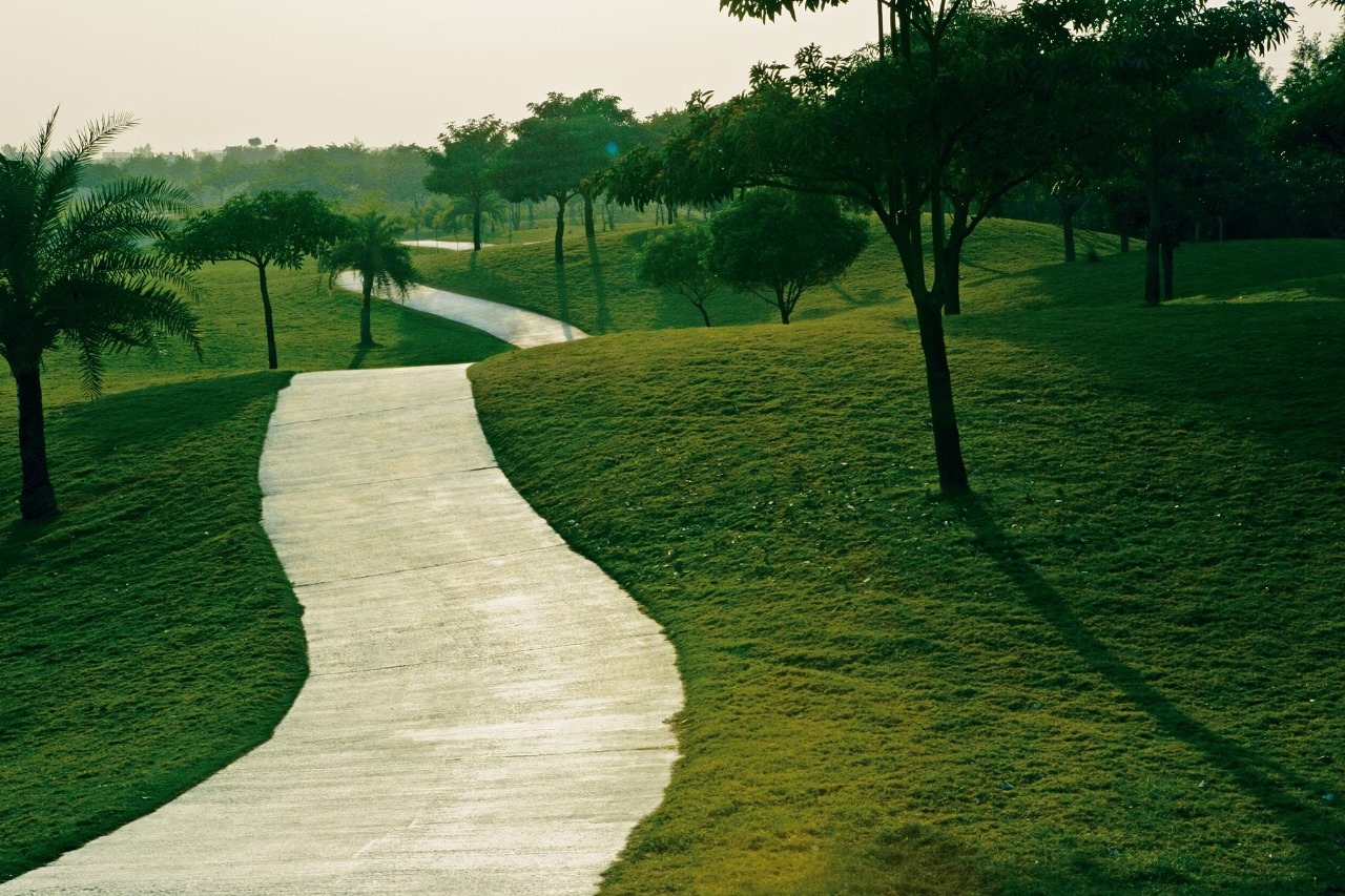 LnT Green Reserve (7)